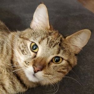 Meet your Posher, Seth